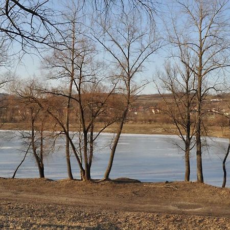 Sport Hotel Ostrov Тренчин Экстерьер фото